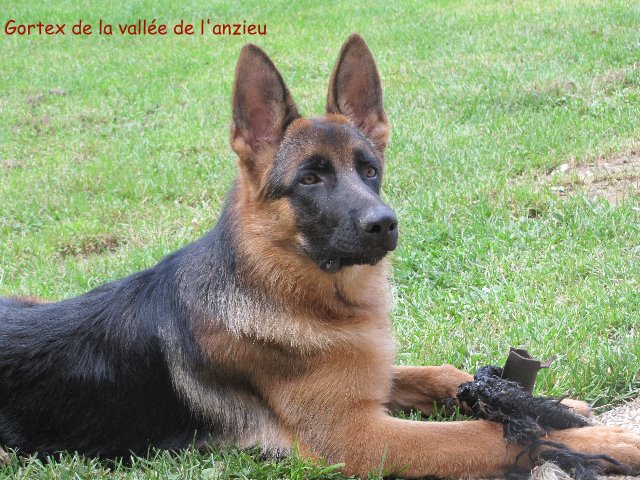 Gortex de la Vallée de l'Anzieu