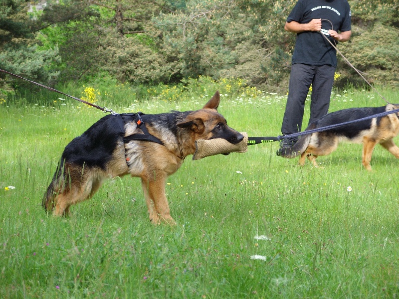 portee 2010 lax et bonny